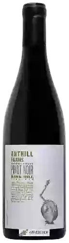 Bodega Anthill Farms - Hawk Hill Vineyard Pinot Noir