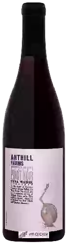 Bodega Anthill Farms - Tina Marie Vineyard Pinot Noir