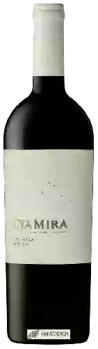 Bodega Uva Mira Mountain Vineyards - The Mira Merlot