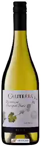 Bodega Caliterra - Chardonnay - Sauvignon Blanc