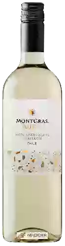 Bodega MontGras - Aura Sauvignon Blanc - Sémillon