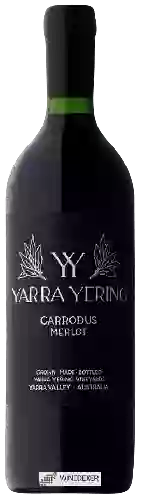 Bodega Yarra Yering - Carrodus Merlot