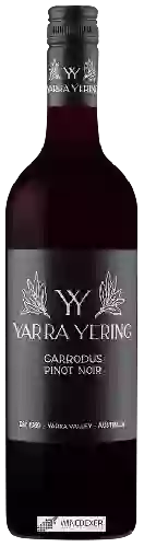 Bodega Yarra Yering - Carrodus Pinot Noir