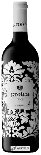 Bodega Protea - Merlot