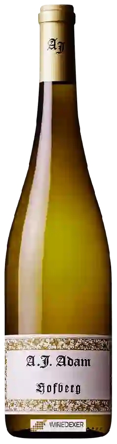 Weingut A. J. Adam - Hofberg Riesling Weingut A. J. Adam - Hofberg Riesling