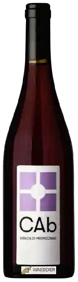 Weingut Abbazia di Propezzano - CAb