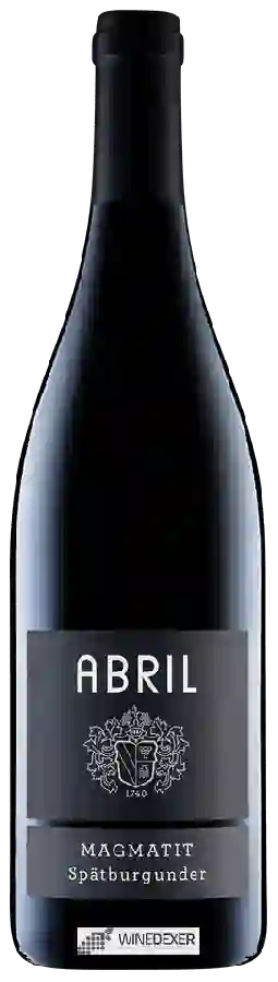 Weingut Abril - Stein Magmatit Spätbugunder Weingut Abril - Stein Magmatit Spätbugunder