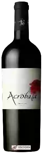 Weingut Acróbata - Entre Cordilleras