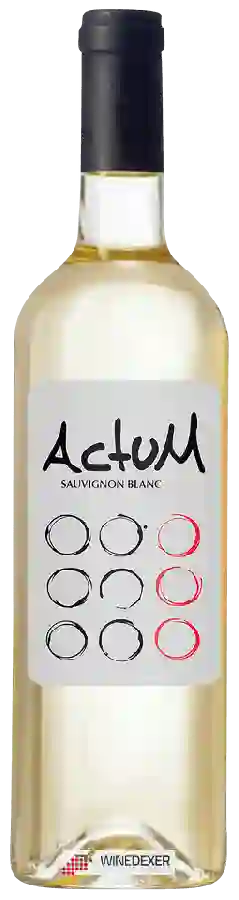 Weingut Actum - Sauvignon Blanc