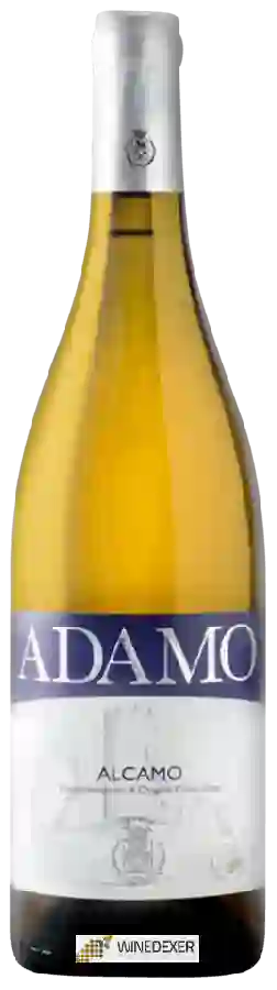 Weingut Adamo - Alcamo