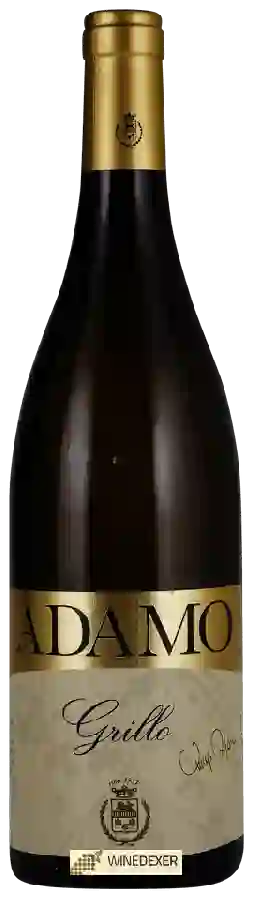 Weingut Adamo - Grillo