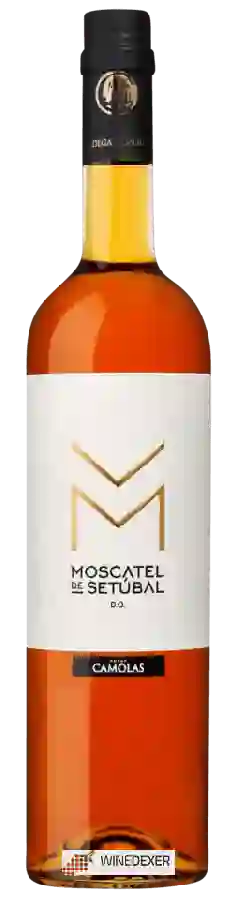 Weingut Adega Camolas - Moscatel de Setúbal