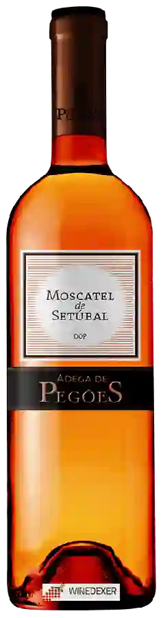 Weingut Adega de Pegões - Moscatel de Setúbal Weingut Adega de Pegões - Moscatel de Setúbal