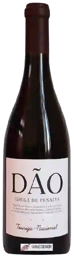 Weingut Adega de Penalva - Touriga Nacional Weingut Adega de Penalva - Touriga Nacional