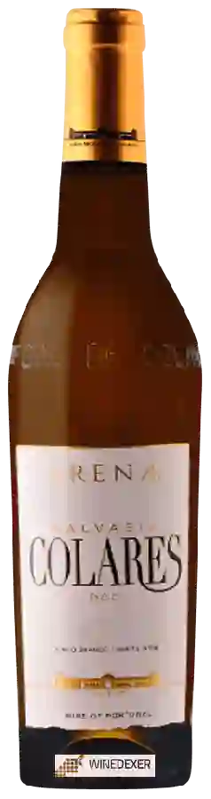 Weingut Adega Regional de Colares - Arenae Malvasia Weingut Adega Regional de Colares - Arenae Malvasia