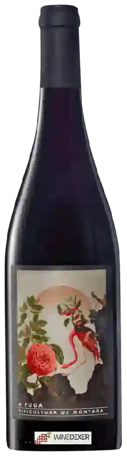 Weingut Abadia da Cova - A Fuga Tinto Weingut Abadia da Cova - A Fuga Tinto