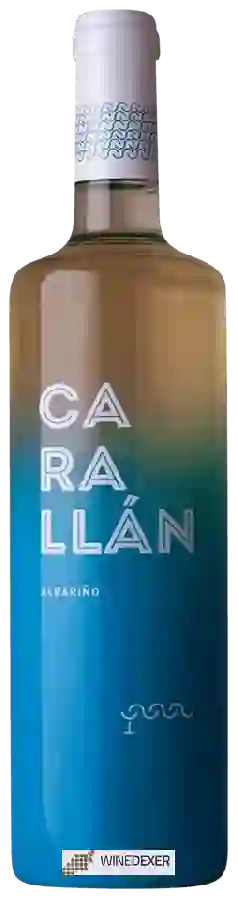 Weingut Adegas Terrae - Carallán Albariño Weingut Adegas Terrae - Carallán Albariño