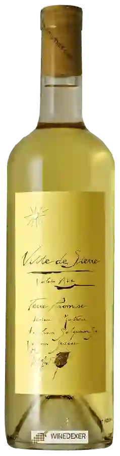 Weingut Adrian et Diego Mathier - Ville de Sierre Terre Promise Weingut Adrian et Diego Mathier - Ville de Sierre Terre Promise