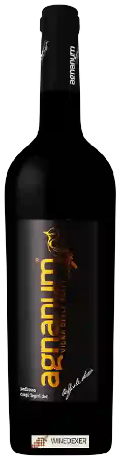 Weingut Agnanum - Vigna delle Volpi Piedirosso Campi Flegrei Weingut Agnanum - Vigna delle Volpi Piedirosso Campi Flegrei
