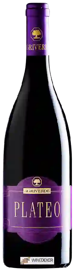 Weingut Agriverde - Plateo Weingut Agriverde - Plateo