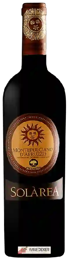 Weingut Agriverde - Solàrea Montepulciano d'Abruzzo Weingut Agriverde - Solàrea Montepulciano d'Abruzzo