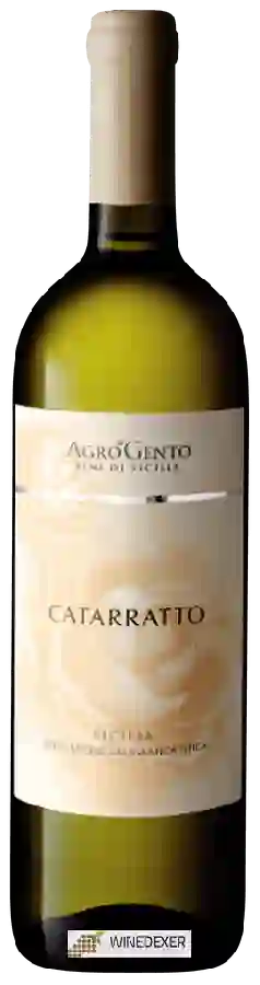Weingut AgroGento - Catarratto Weingut AgroGento - Catarratto