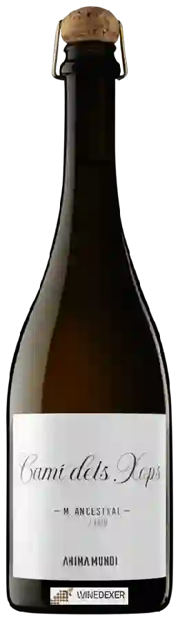 Weingut AT Roca - Anima Mundi Camí dels Xops Weingut AT Roca - Anima Mundi Camí dels Xops