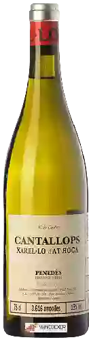 Weingut AT Roca - Cantallops Xarel-lo