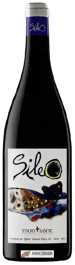 Weingut AT Roca - Sileo Weingut AT Roca - Sileo