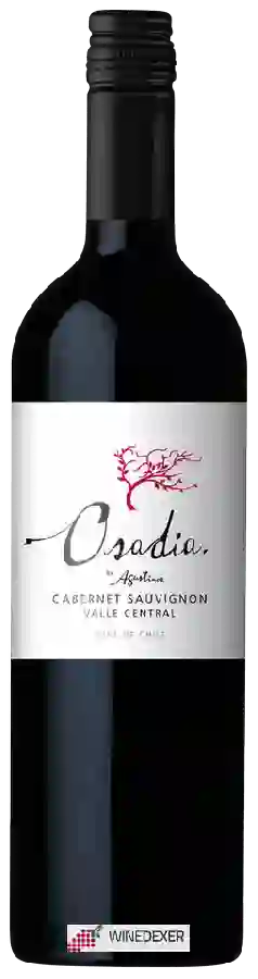 Weingut Agustinos - Osadía Cabernet Sauvignon