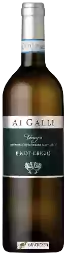Weingut Ai Galli - Classic Pinot Grigio