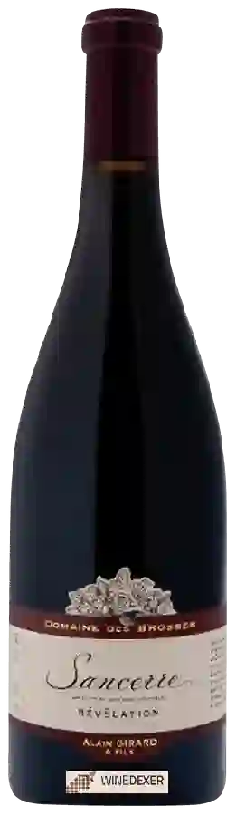 Weingut Alain Girard & Fils - Domaine des Brosses Révélation Sancerre