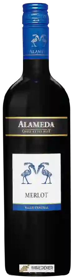Weingut Alameda - Merlot