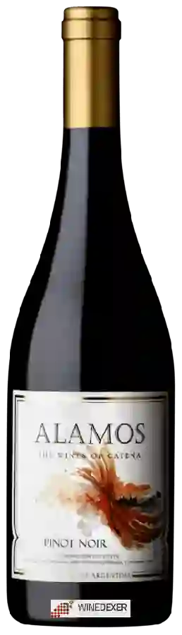 Weingut Alamos - Pinot Noir