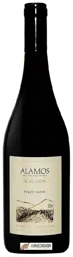 Weingut Alamos - Selección Pinot Noir Weingut Alamos - Selección Pinot Noir