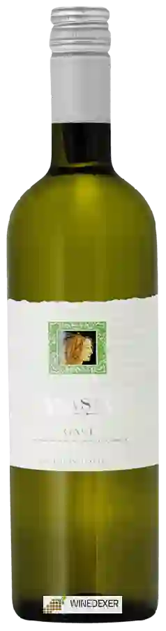 Weingut Alasia - Gavi Weingut Alasia - Gavi