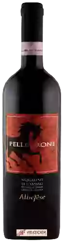 Weingut Alberese - Pellegrone