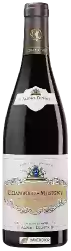 Weingut Albert Bichot - Chambolle-Musigny