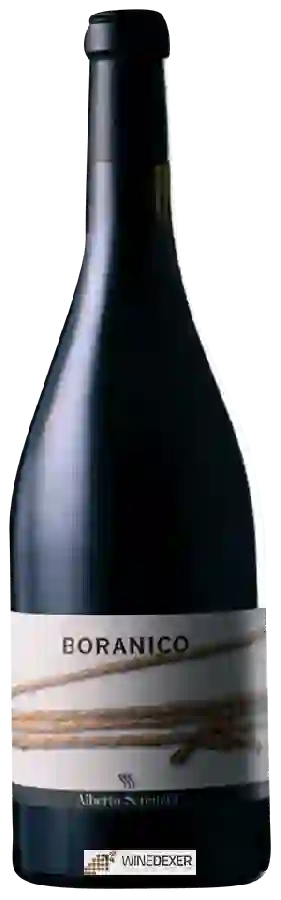 Weingut Alberto Serenelli - Boranico