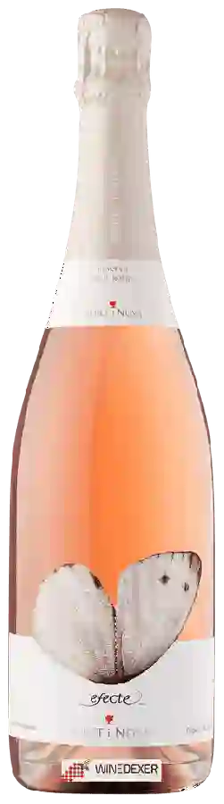 Weingut Albet i Noya - Efecte Reserva Brut Rosat
