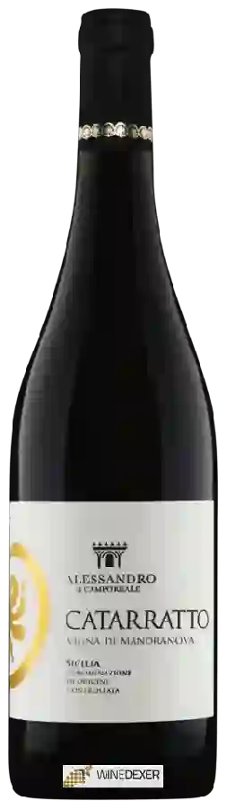 Weingut Alessandro di Camporeale - Catarratto Vigna di Mandranova