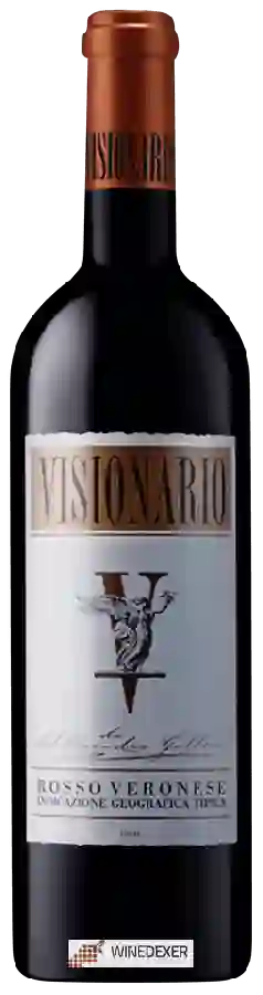 Weingut Alessandro Gallici - Visionario Rosso Veronese