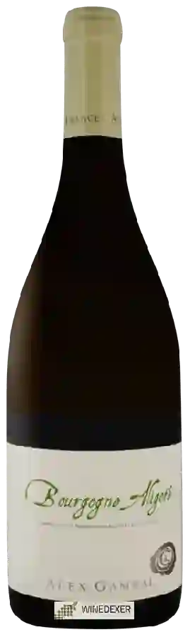 Weingut Alex Gambal - Bourgogne Aligoté Weingut Alex Gambal - Bourgogne Aligoté