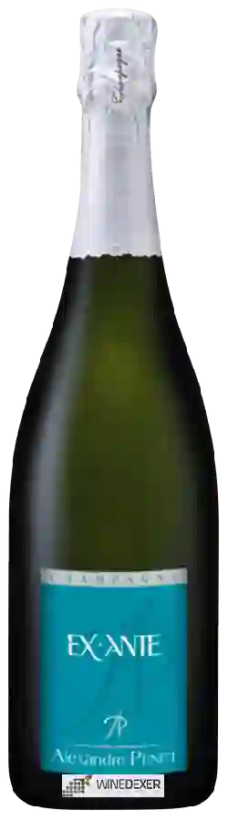 Weingut Alexandre Penet - Ex Ante Champagne Weingut Alexandre Penet - Ex Ante Champagne
