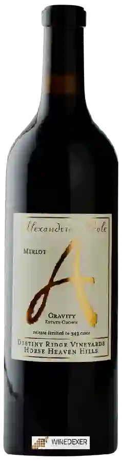 Weingut Alexandria Nicole - Destiny Ridge Vineyards Gravity Merlot