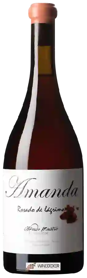 Weingut Alfredo Maestro - Amanda Rosado de Lágrima