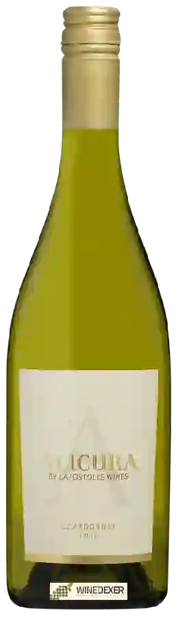 Weingut Alicura - Chardonnay