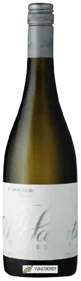 Weingut All Saints - Pinot Grigio