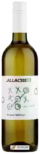 Weingut Allacher - Grüner Veltliner