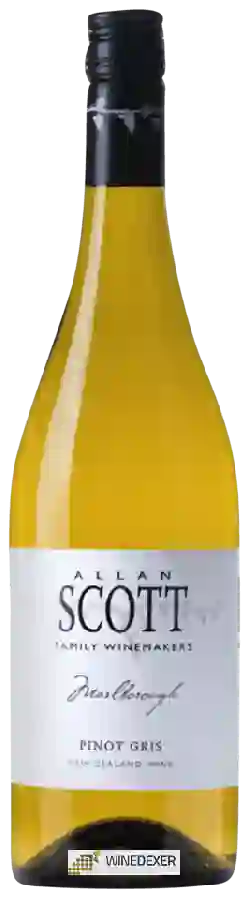 Weingut Allan Scott - Pinot Gris